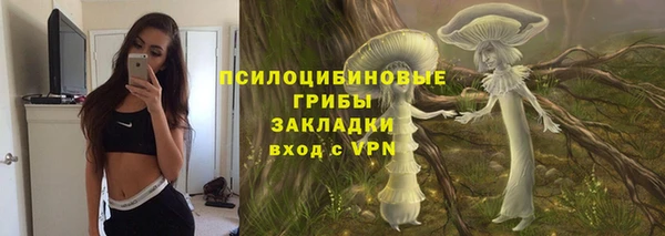 ешки Алексин