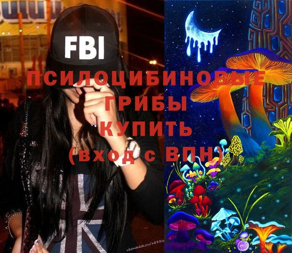 гашик Абаза