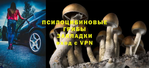 хмурый Мегион