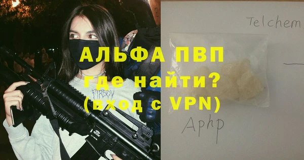гашик Абаза