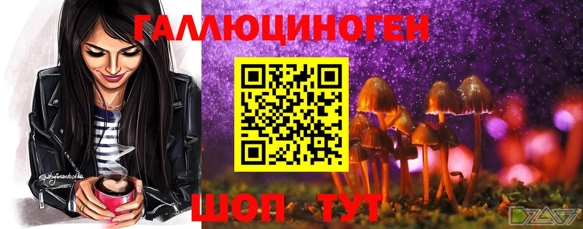 Псилоцибиновые грибы ЛСД  Галлюциногенные грибы MAGIC MUSHROOMS  Вход с VPN  Балаково 
