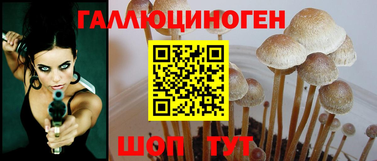 Галлюциногенные грибы мухоморы Балаково